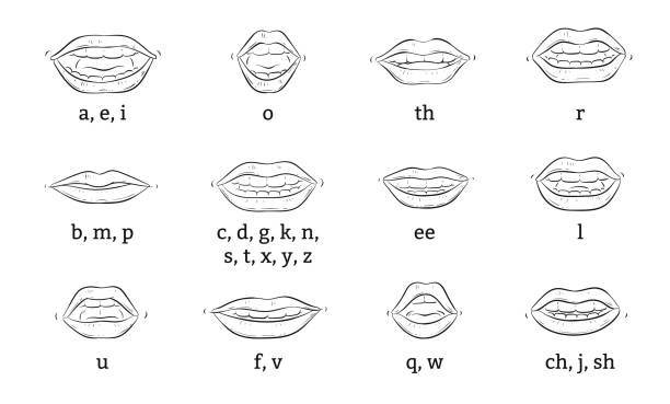 ilustrações de stock, clip art, desenhos animados e ícones de mouth animation. cartoon lips speak expression, articulation and smile. speaking talking mouth vector isolated set - medical animation