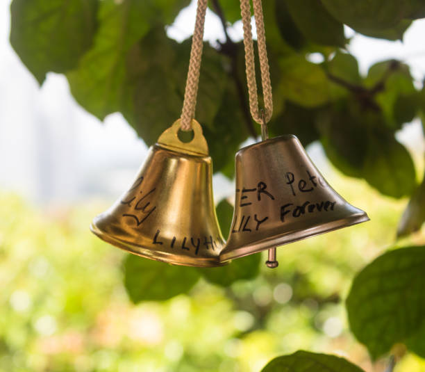 a pair of shiny decorative bronze bells