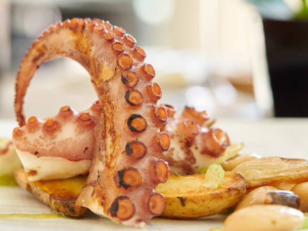 Grilled octopus dish with halves of baby potatoes and green dressing stock photo