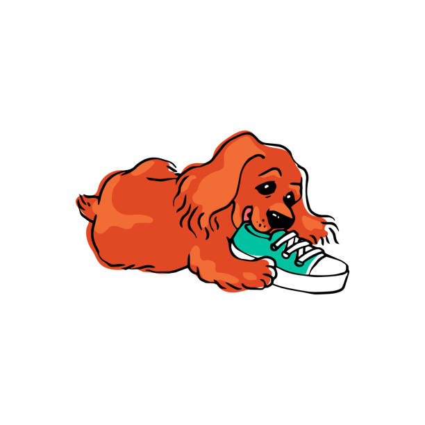 illustrazioni stock, clip art, cartoni animati e icone di tendenza di carino cane divertente o cucciolo mordicchia proprietari avvio illustrazione cartone animato vettoriale isolato. - cane morde coda