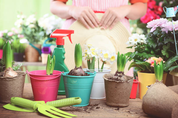 istock Woman potting some plants 1193362499