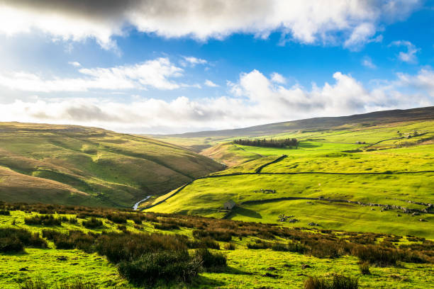 darnbrook lande. yorkshire dales - pennine way photos et images de collection