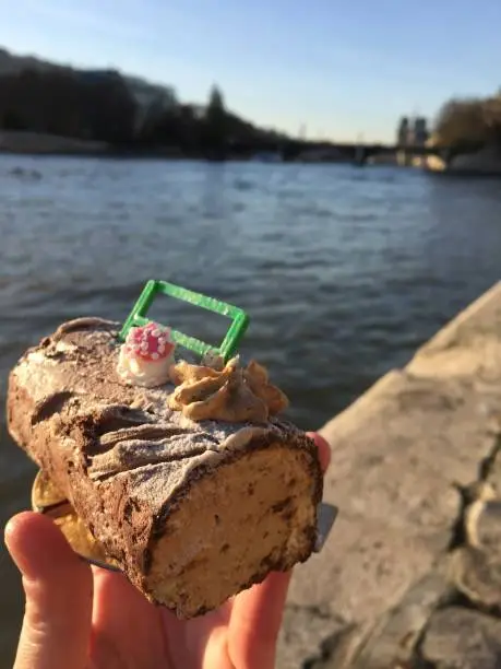 La Bûchette de Noël, a French Christmas tradition. French christmas cake with Seine River in background, Paris, France, Europe.
