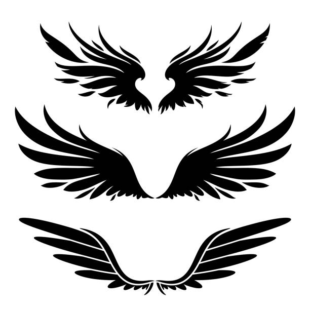 ilustraciones, imágenes clip art, dibujos animados e iconos de stock de elementos de diseño de silueta de alas - alas angel
