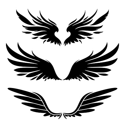 wings black silhouette design elements set