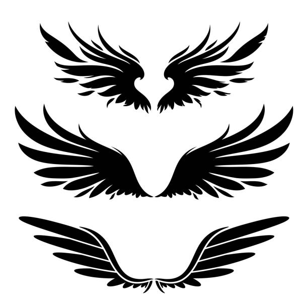Wings Silhouette Design Elements Stock Illustration - Download Image Now - Animal Wing, Angel, Vector - iStock Wings Silhouette Design Elements Stock Illustration - Download Image Now - Animal Wing, Angel, Vector - iStock