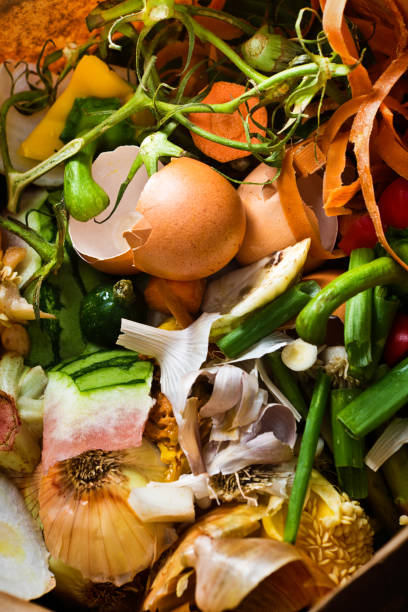 istock Green Recycling Food Waste Compost Close-up 1193367818
