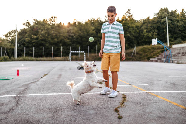 istock Playing on schoolyard with his pet dog 1193370287