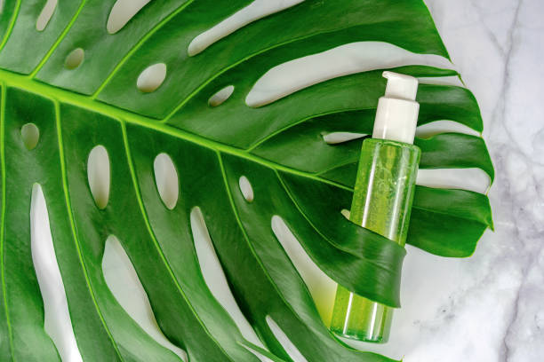 istock monastera leaf holding bio cosmetic product on marble background . 1193370630