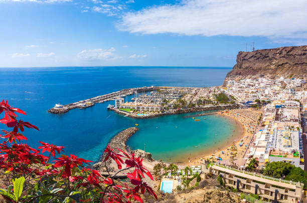istock Landscape with Puerto de Mogan 1193377575
