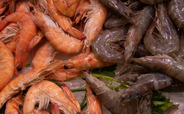 istock Fresh, delicious, healthy shrimps on ice ready to be cooked 1193377691