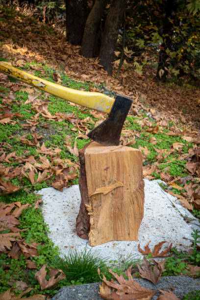 istock Axe with sharp blade to cut wood  for a  fireplace for heating during wintertime 1193377826