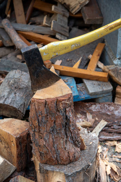 istock Axe with sharp blade to cut wood  for a  fireplace for heating during wintertime 1193378535