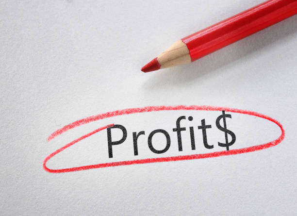 istock Profit text circled in red pencil 1193381363