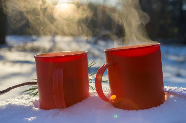 istock mugs in the snow 1193383890