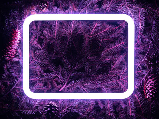 istock Creative fluorescent color layout made of spruce branches 1193384446