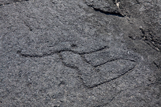 istock Ancient Petroglyph Etched Into Hawaiian Lava Stone 1193384942