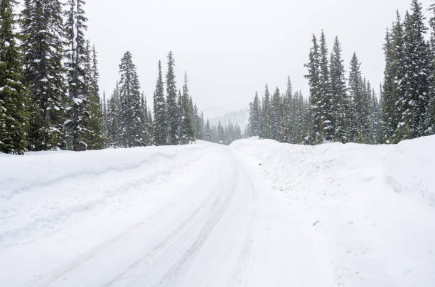 istock Deserted mountain road through a snowy forest during a blizzard 1193388305