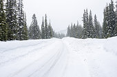 Deserted mountain road through a snowy forest during a blizzard