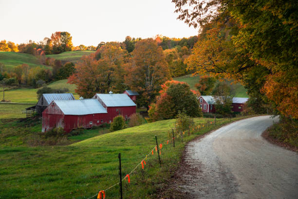 istock Farm in a rolling rural landscape at sunset 1193388356