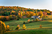 Rolling rural landscape at sunset. Stunning autumn colours.