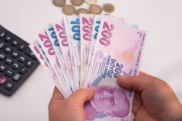 istock Unrecognizable person counting Turkish banknotes 1193390012