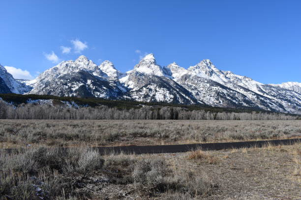 istock Wyoming and Yellowstone Park 1193390201