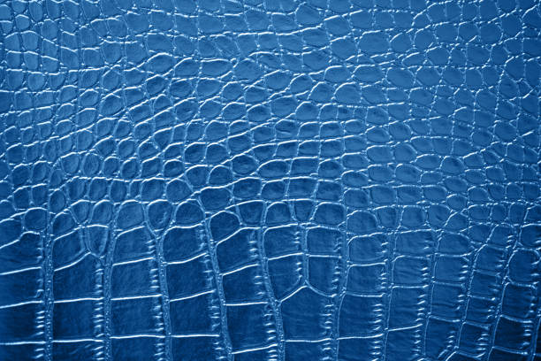 blue classic crocodile leather skin texture pattern trendy color of year 2020 navy dark shiny leatherette alligator dragon dinosaur ombre background copy space macro photography - caimão - fotografias e filmes do acervo