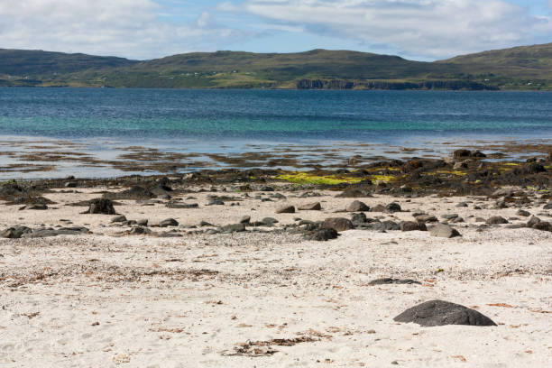 istock Colour layers. White sand, green algae, dark blue water, light blue sky 1193393380