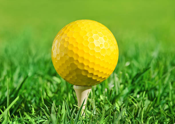 Golf ball on tee ready to be shot.  putting golf ball on tee in golf course