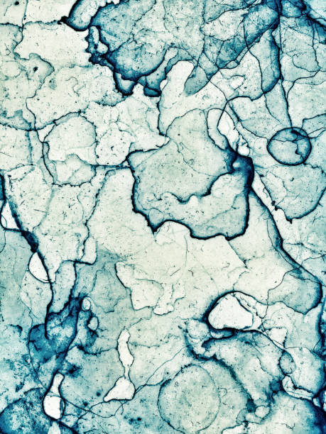 Organic stains background Colored liquid stains over white background amoeba photos stock pictures, royalty-free photos & images