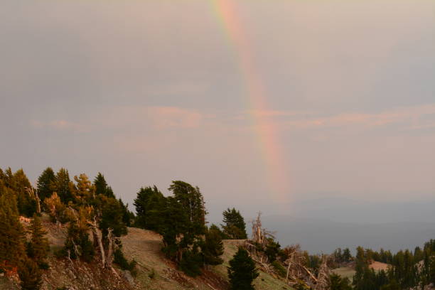 istock Summer Scenes of Lassen National Park 1193397496