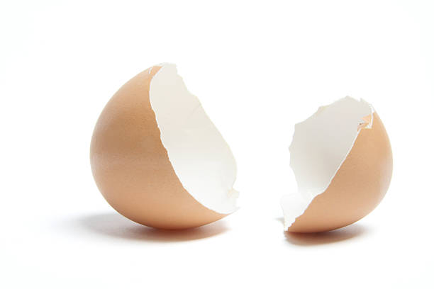 Egg Shells  eggshell stock pictures, royalty-free photos & images
