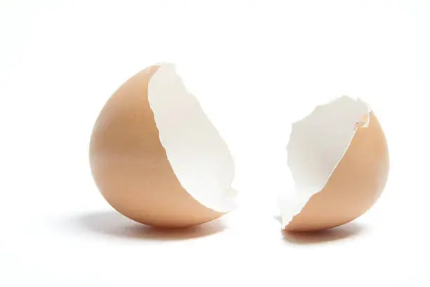 Photo of Egg Shells