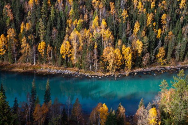 istock China Kanas Scenic Area 1193400035