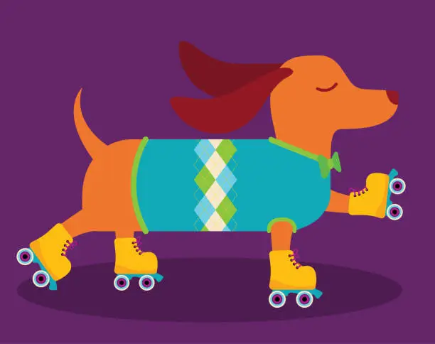 Vector illustration of Dachshund Roller Skating