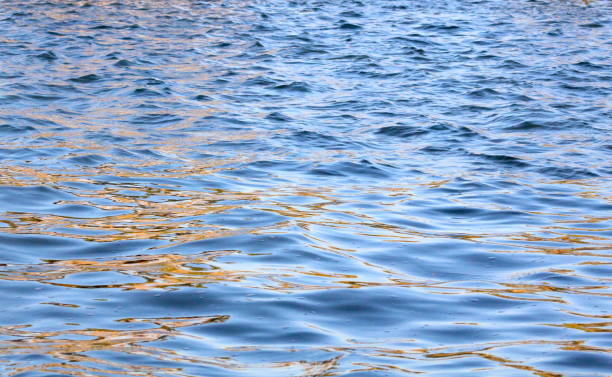 istock Water - Sparkly Blue Lake with Ripples 1193412465