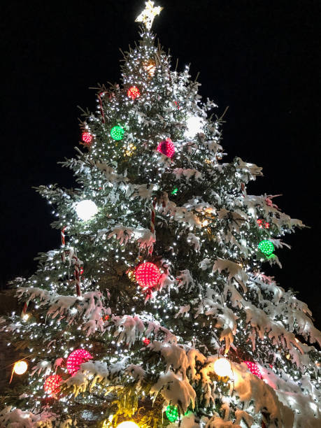 istock Beautifully decorated Christmas tree outside 1193412498