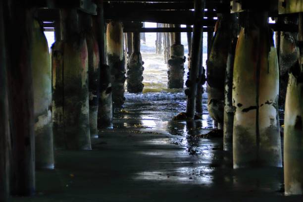 istock Pacific Beach Pier/Crystal Pier 1193412805