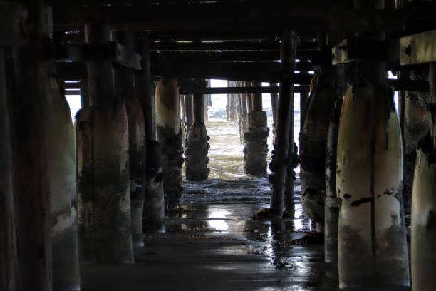 istock Pacific Beach Pier/Crystal Pier 1193413127