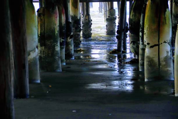 istock Pacific Beach Pier/Crystal Pier 1193413315
