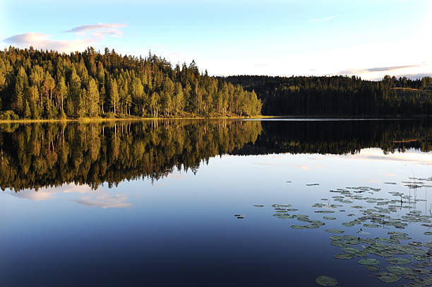 L'eau du Lac mirror - Photo