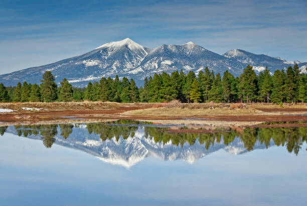 San Francisco Peaks Reflected in a Pond The San Francisco Peaks are the remnants of an ancient volcano that erupted millions of years ago, shattering a large mountain and leaving a large crater and surrounding peaks. The tallest of these are Humphreys at 12,637 feet and Agassiz at 12,356 feet. This picture of the snow-capped peaks reflected in a pond was taken from Kachina Wetlands in Kachina Village, Arizona, USA. jeff goulden flagstaff stock pictures, royalty-free photos & images