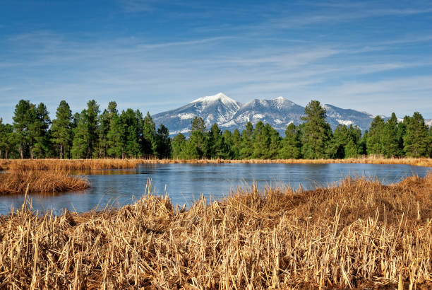 istock Kachina Wetlands and San Francisco Peaks 1193420494