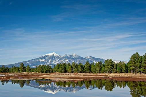The San Francisco Peaks are the remnants of an ancient volcano that erupted millions of years ago, shattering a large mountain and leaving a large crater and surrounding peaks. The tallest of these are Humphreys at 12,637 feet and Agassiz at 12,356 feet. This picture of the snow-capped peaks reflected in a pond was taken from Kachina Wetlands in Kachina Village, Arizona, USA.