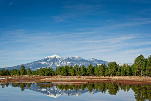San Francisco Peaks Reflected in a Pond The San Francisco Peaks are the remnants of an ancient volcano that erupted millions of years ago, shattering a large mountain and leaving a large crater and surrounding peaks. The tallest of these are Humphreys at 12,637 feet and Agassiz at 12,356 feet. This picture of the snow-capped peaks reflected in a pond was taken from Kachina Wetlands in Kachina Village, Arizona, USA. jeff goulden mountain stock pictures, royalty-free photos & images