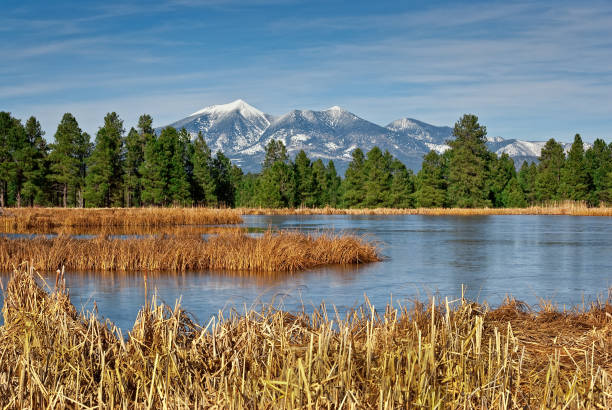 istock Kachina Wetlands and San Francisco Peaks 1193420515