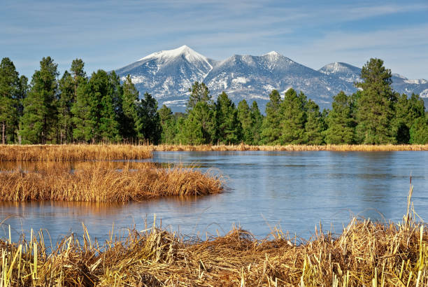 istock Kachina Wetlands and San Francisco Peaks 1193420525