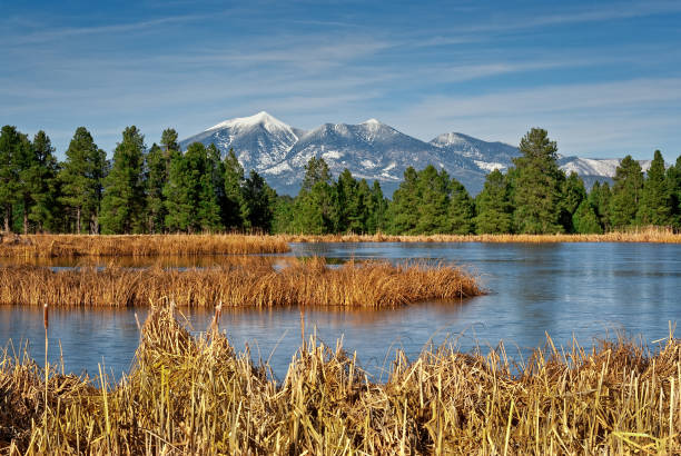 istock Kachina Wetlands and San Francisco Peaks 1193420534
