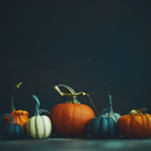 istock Thanksgiving or Halloween still life background with assorted pumpkins 1193423209